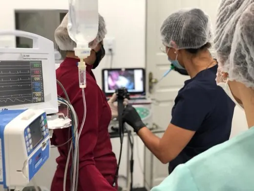 Equipe do iDvet realizando um procedimento de endoscopia, acompanhando a imagem no monitor