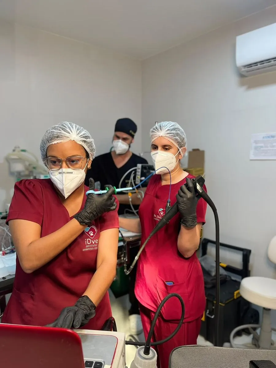 Equipe do iDvet de touca e máscara conduzindo um exame de endoscopia